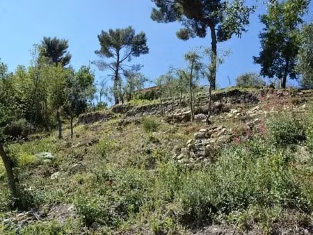 vente terrain 1000 m² à drap (06340)  140 000 €