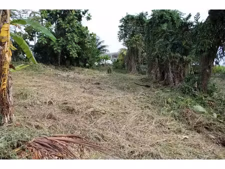 vente terrain 1075 m² à la trinite (97220)  110 000 €