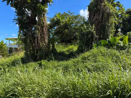 vente terrain 1075 m² à la trinite (97220)  131 400 €