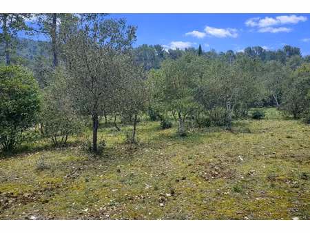 vente terrain 1001 m² à garéoult (83136)  169 000 €