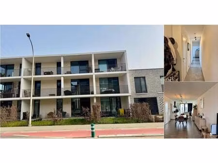 appartement à louer à ten rode 2 lier (rbv42278)