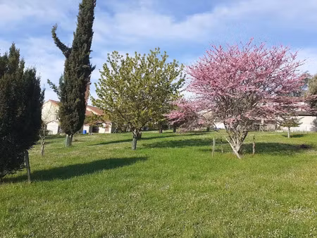 vente terrain 1800 m² à jalogny (71250)  189 000 €