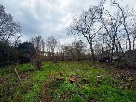 vente terrain 1500 m² à saint-selve (33650)  195 000 €