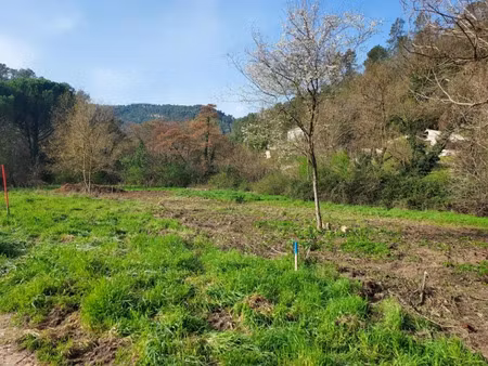 vente terrain 1990 m² à solliès-toucas (83210)  215 000 €