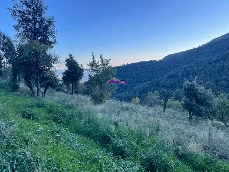 vente terrain 6000 m² à castillon (06500)  299 000 €