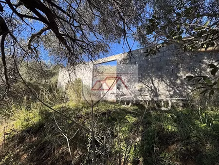 vente terrain 4100 m² à calenzana (20214)  370 000 €