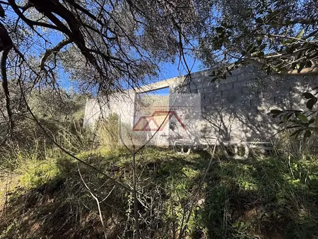 vente terrain 4100 m² à calenzana (20214)  401 250 €