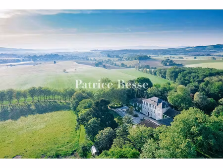 vente château 20 pièces 2500 m² à mazerolles-du-razès (11240)  1 990 000 €