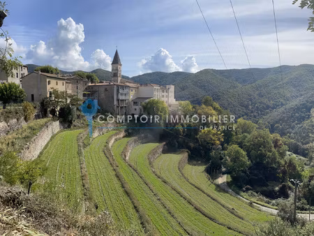 cevennes meridionnale val d'aigoual opportunité marchand de