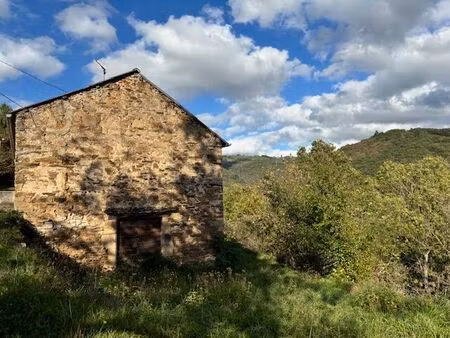 ancienne maison de vigne à rénover