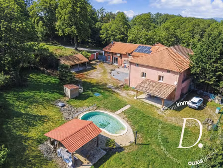 propriété gasconne avec gîte indépendant et piscine