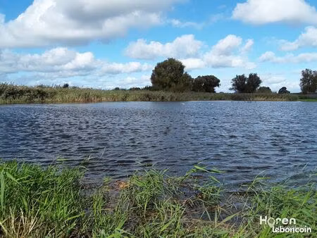 terrain 45164 m² pendé