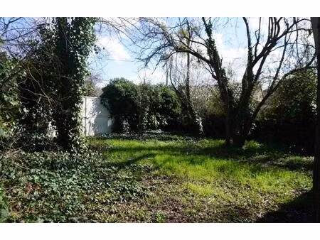 terrain verdoyant de 1268m²