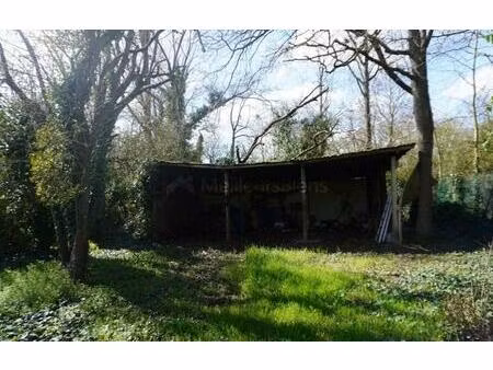 terrain verdoyant de 438 m²