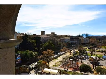 maison de maître début xixème 10 pièces  jardin  garage