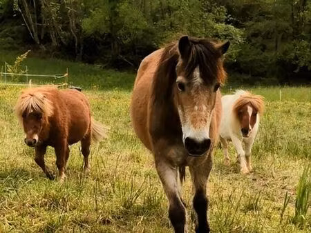 recherche terrain agricole prairie