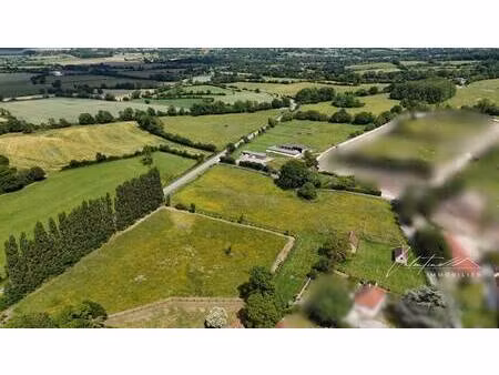 valentine immobilier