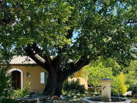 safti odekerken benoît conseiller indépendant