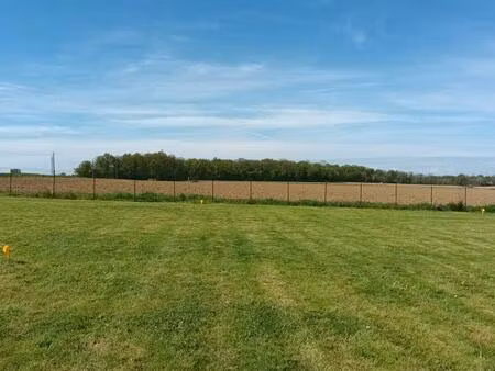 terrain constructible