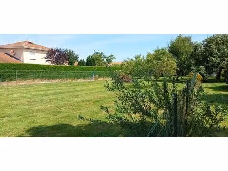 terrain constructible