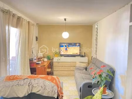 tony lepinay bsk immobilier