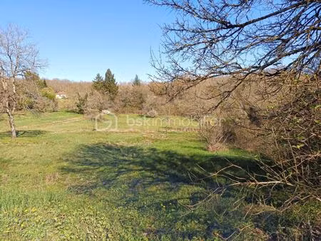 l'espace idéal pour votre projet familial à tourtoirac