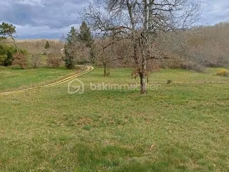 superbe parcelle constructible de 4 689 m² (secteur tourtoirac)