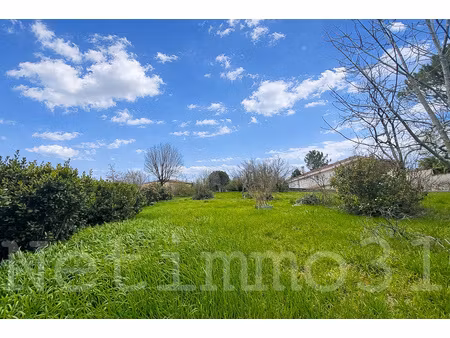 terrain constructible centre puylaurens