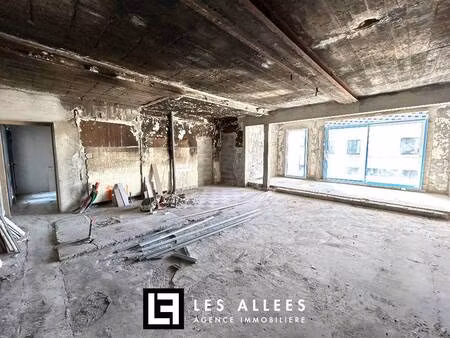 immobilière les allées