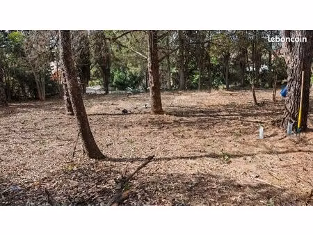 vend 4 grandes parcelles constructibles  arborées et particulièrement bien exposées