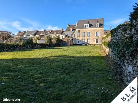 bel immeuble avec 2 appartements  1 local professionnel et un grand terrain