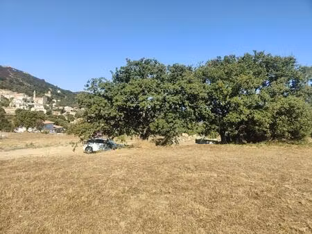 beau terrain constructible à lavatoggio