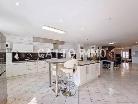 sandra gatto expertimo