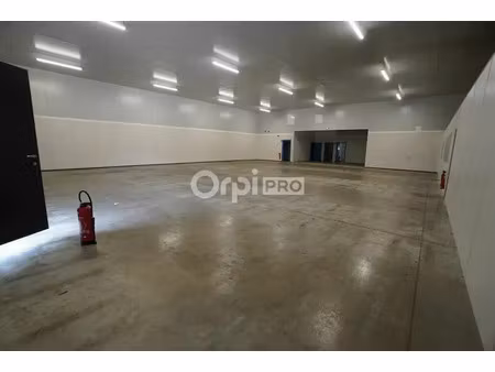 local d'activité 725m2 secteur a louer