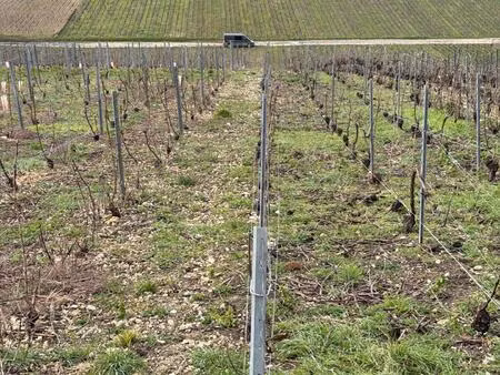 libres de tous droits