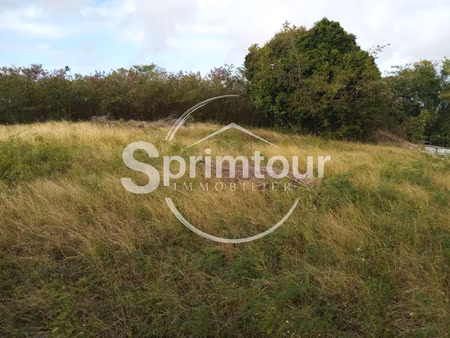 terrain à batir (903 m2) - lacroix beaufond - 97121 anse-ber