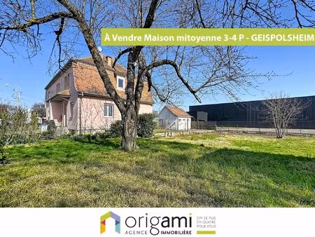 maison avec spacieux jardin à geispolsheim