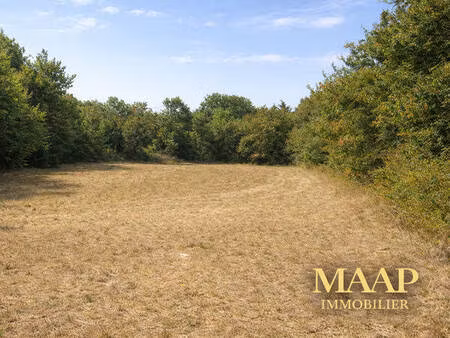 ? chalet bois écologique à terminer sur terrain nature – projet rare