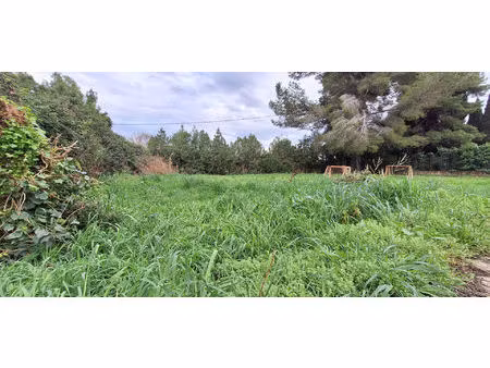 terrain tour de l'étang