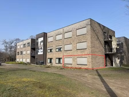 service flat te koop in grobbendonk