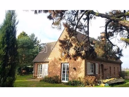 maison d architecte de 220 m² à sainghin-en-melantois