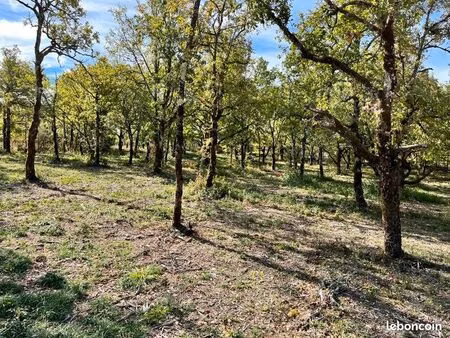 terrain 1 424 m² lalbenque