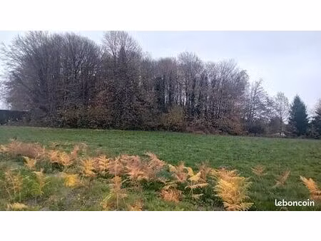 terrain 8 315 m² saint jal