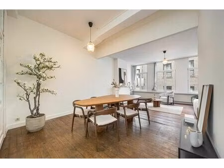 instapklaar appartement in hartje antwerpen