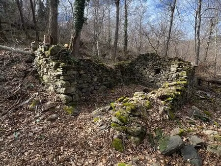 grange à restaurer + 5760 m2 de forêt