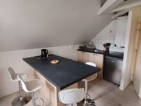 grand studio 42 m² au sol – cuisine équipée  coin nuit et bureau