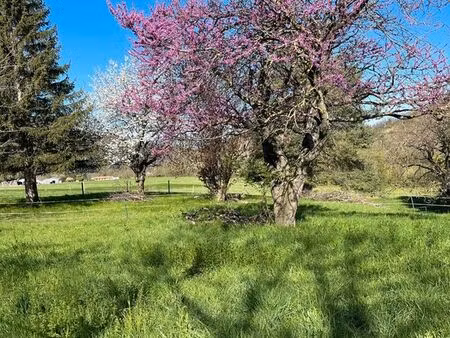 loue terrain pour chevaux