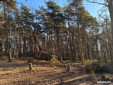 parcelle de bois à louer