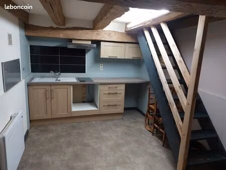 t1 bis duplex 55 m2 – centre historique