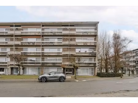 appartement te koop in hoboken met 3 slaapkamers